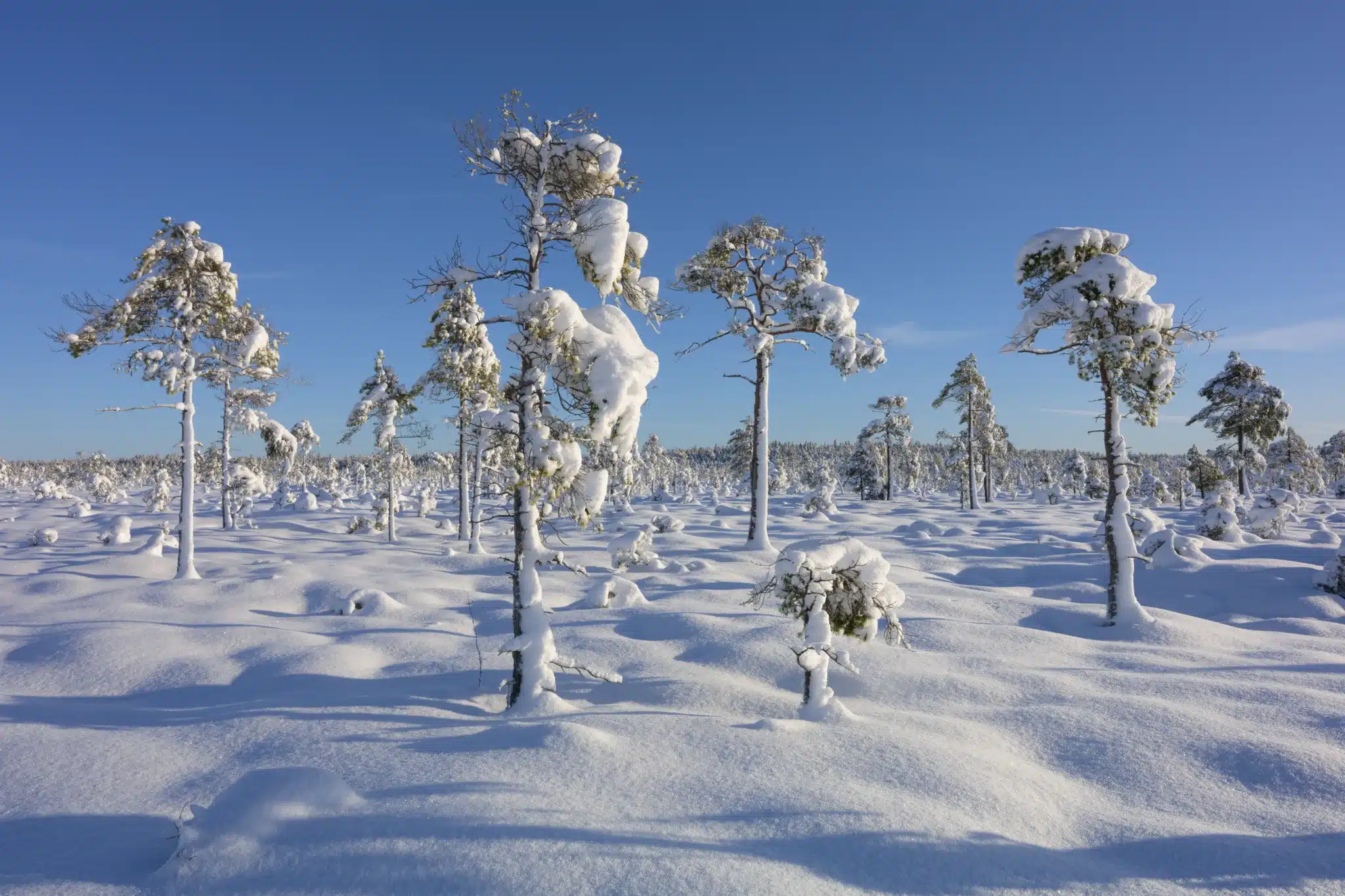 Romet Vaino: jäädvustusi ja peegeldusi aastast 2024